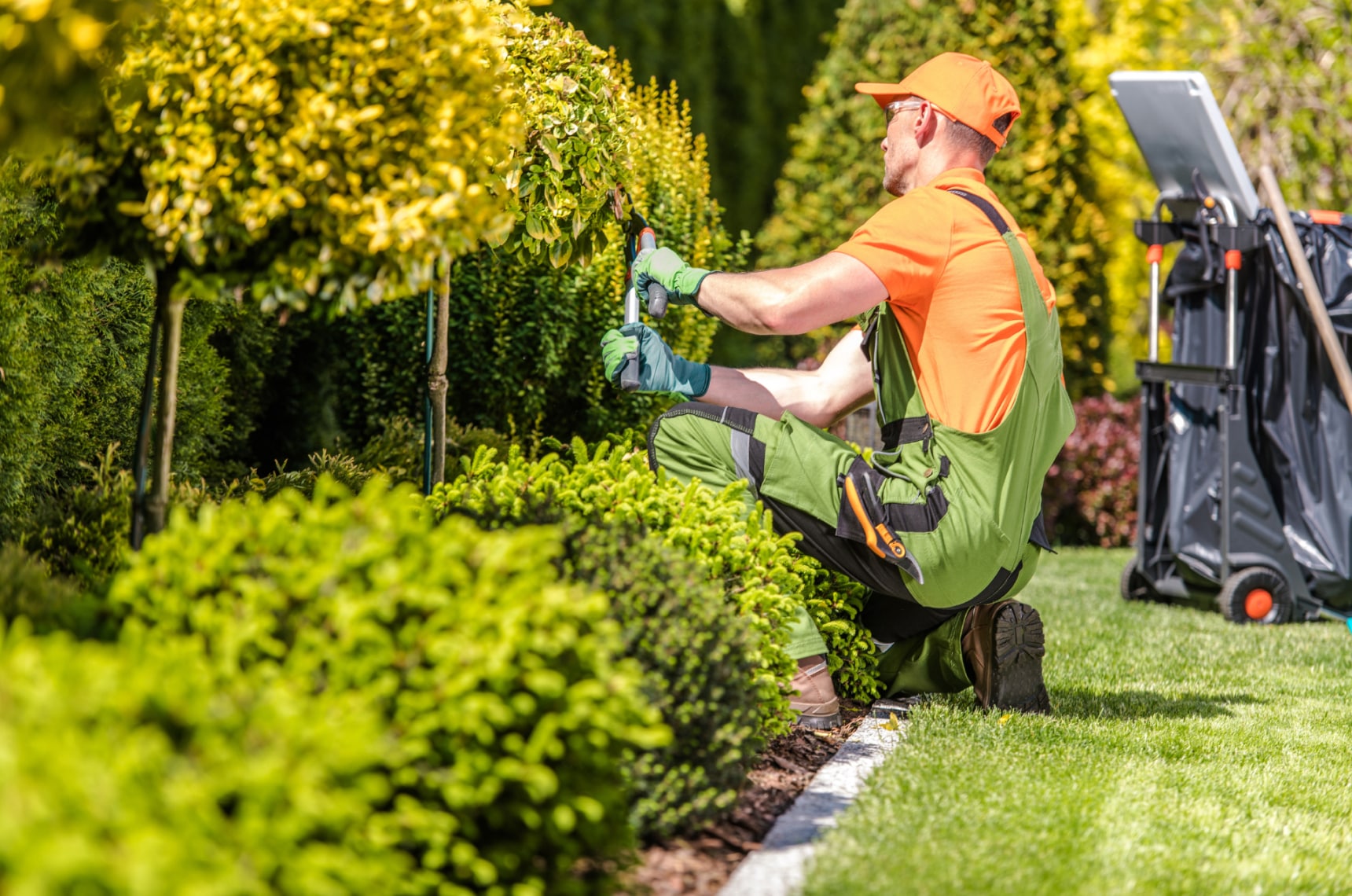 a landscaper wearing high-visibility clothing trimming a hedge

