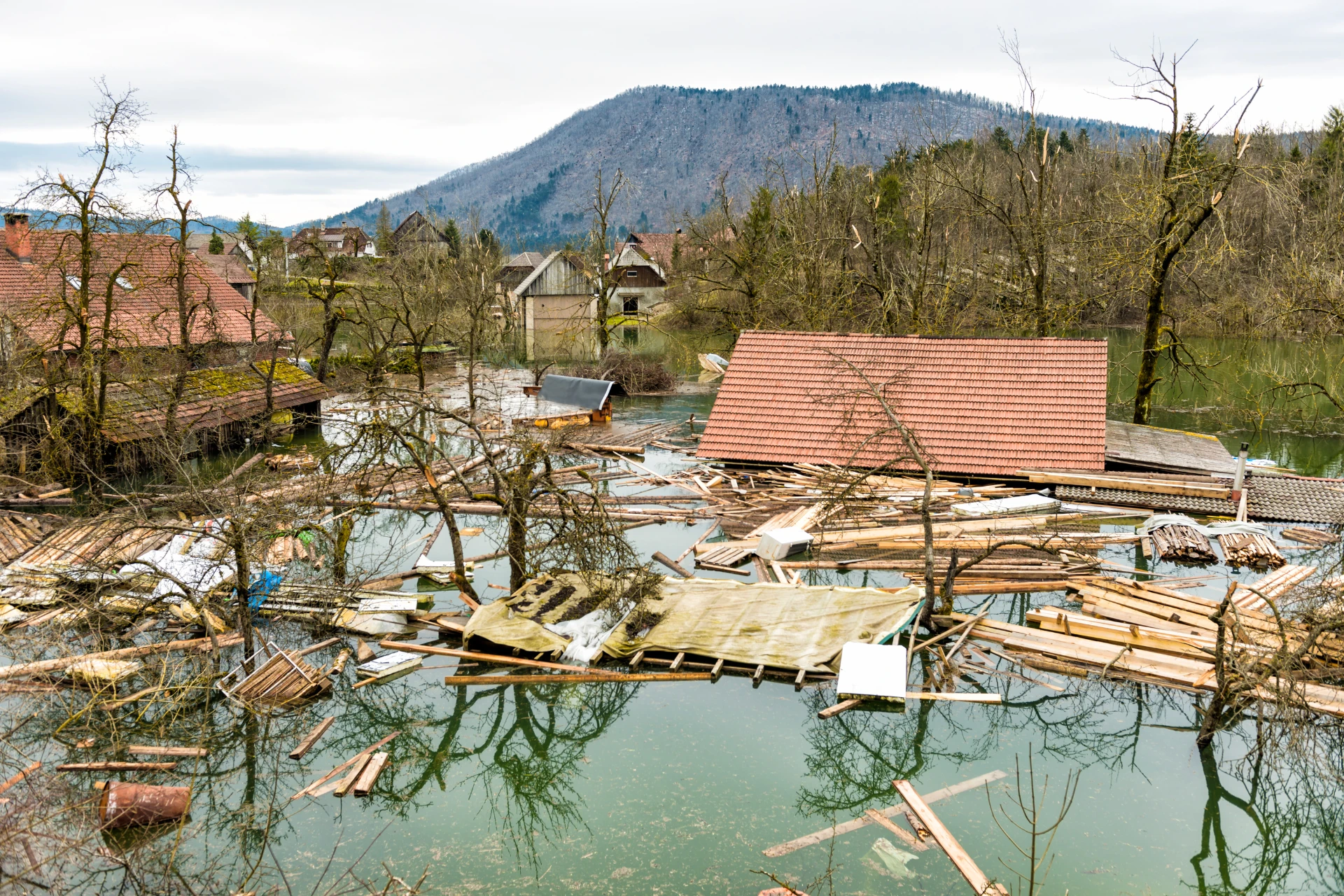 Aftermath of a storm, showing flooded streets, fallen trees, destroyed buildings
